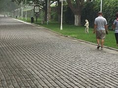 -北京张裕爱斐堡酒庄