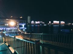 -武汉关码头(轮渡站)