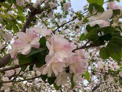 -元大都城垣遗址公园