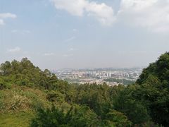 -火炉山森林公园