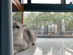 -佳雯宠物医院·皮肤科·内外科(春晓路分院)