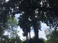 -晓港公园