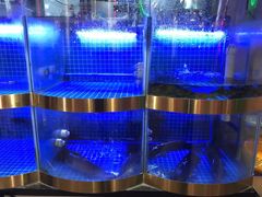 -蛙一刀·麻椒鱼火锅(金仙桥店)