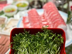 -番食园鲜食火锅(高新店)