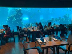-海棠湾洲际-涛·海底餐厅·美人鱼·自助餐·海底隧道
