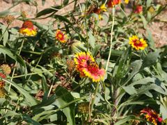 -白水寺森林公园