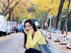 -三里屯东五街银杏大道