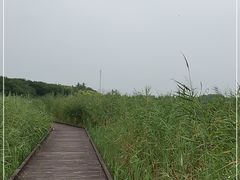 -西青郊野公园