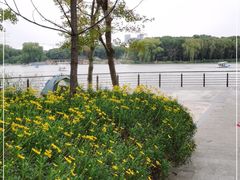 -昆山城市生态森林公园