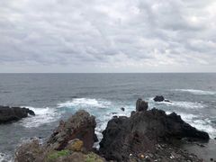 -涉地可支