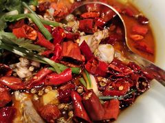 -燕郊烧鸽子(酷车小镇店)