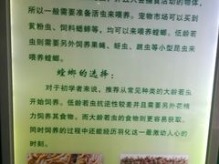 -上海昆虫博物馆