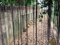-深圳湾科技园丽雅查尔顿酒店