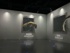 -天津自然博物馆