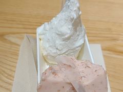 -野人先生现做冰淇淋(北京顺义祥云小镇店)