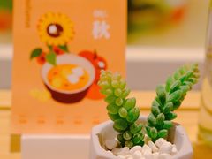 -炖物24章·顺时轻养茶(黄龙店)