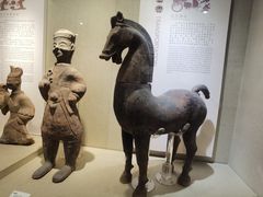 -乐山市博物馆