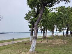 -阳澄湖半岛旅游度假区