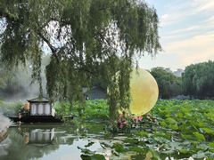 -北陵公园