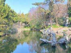 -叶家花园