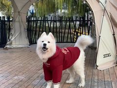 -J Create城市露营咖啡·简餐·宠物(上海动物园店)