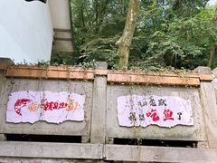 -龙井壹号·茶缘山景宴(龙井村店)