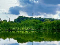 -东莞植物园