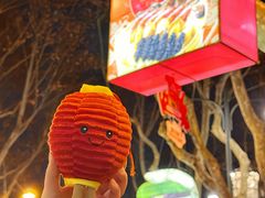 -世纪公园-1号门停车场