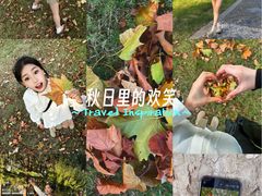-西苑公园
