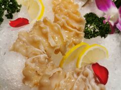 象拔蚌刺身-金龙·打边炉(武进路店)