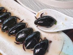 -美未居·老字号·地道顺德菜·桑拿鸡·鱼生(容桂店)