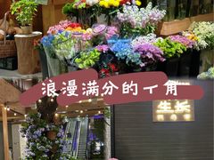 -瑞虹新天地月亮湾