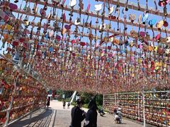 -七彩云南欢乐世界