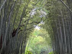 -同里国家湿地公园