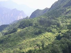 -圣莲山风景区