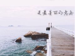 -采粤轩中餐厅(惠州金海湾喜来登度假酒店)