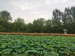 -京宴点心局