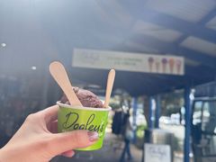 -Dooley's Premium Ice Cream