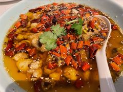 沸腾斑鱼片-港丽餐厅(高德置地店)