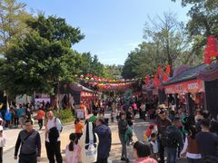 -广州融创文旅城