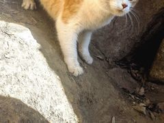 -终南山南五台景区