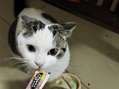 -乐宠动物医院