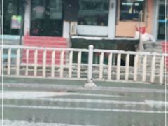 门面-同来顺涮肉馆(六顺街店)