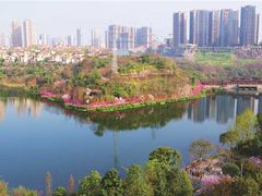 -重庆彩云湖湿地公园
