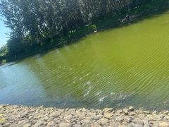 -马家湾湿地公园
