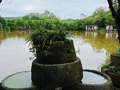 -老木棉·匠园