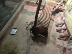 -中南南通体育会展中心