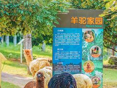 -常州淹城野生动物世界