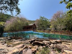 -广州白江湖森林公园