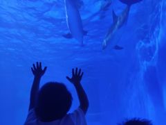 -多彩贵州城极地海洋世界